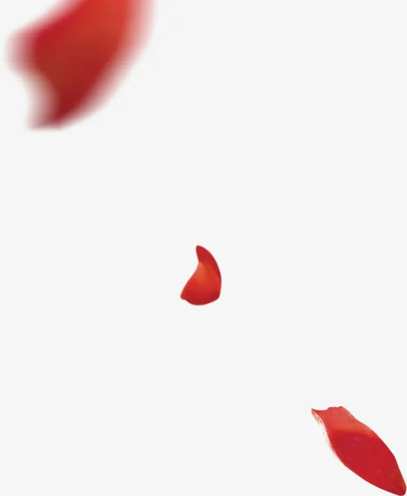 红色花瓣图片素材免抠