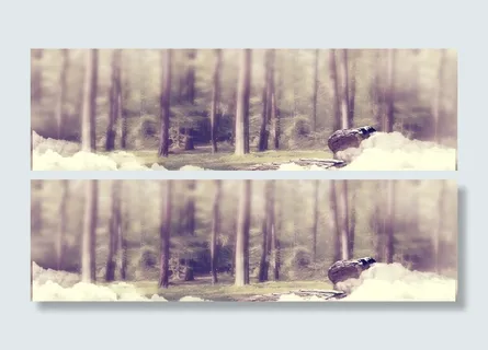 原始森林背景高清