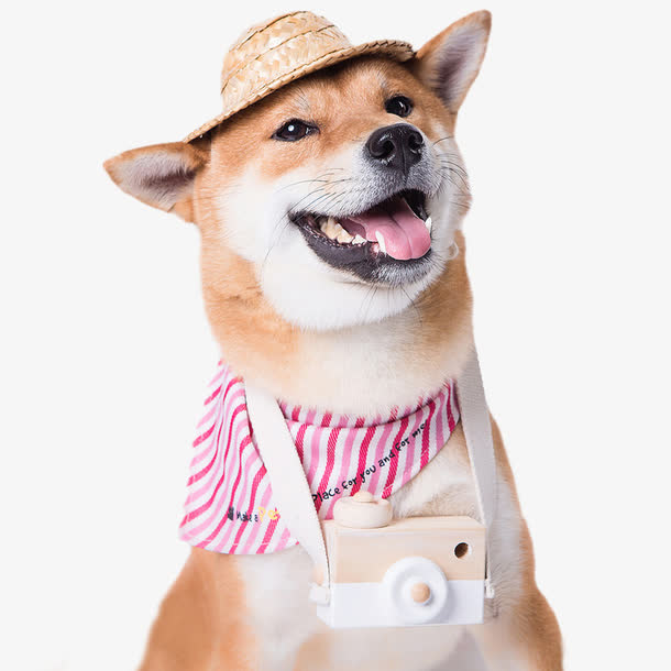 萌宠狗狗免抠
