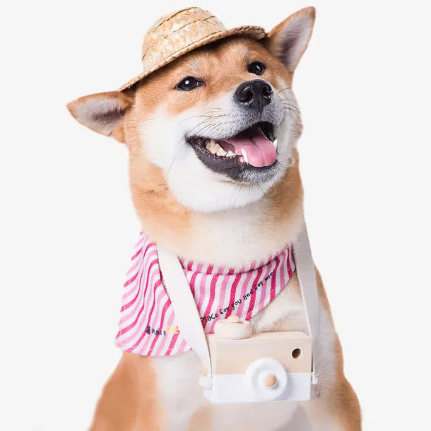 萌宠狗狗免抠