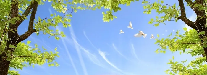创意自然简约背景高清