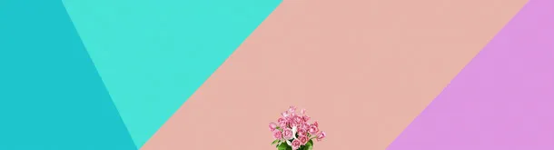 淘宝 天猫 通用海报背景banner