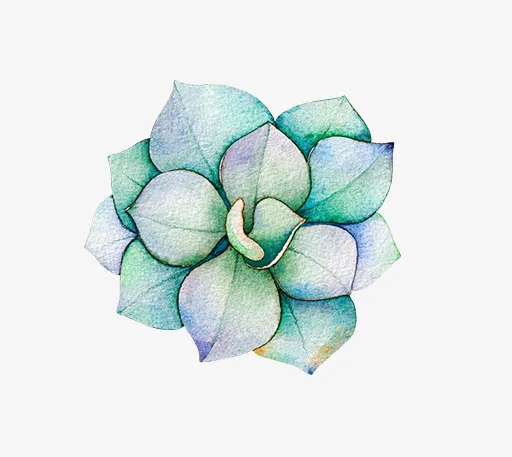 小清新插画广告设计卡通多肉盆栽免抠