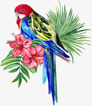 花朵上的鸟免抠