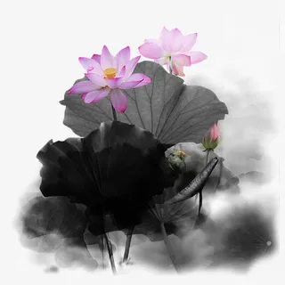 水墨画荷花免抠