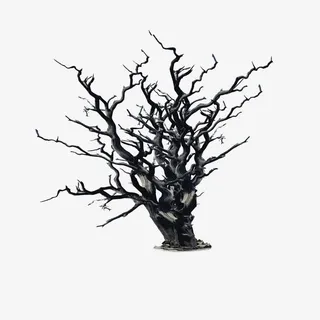 枯树免抠
