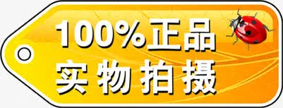 正品实物拍摄瓢虫标签免抠