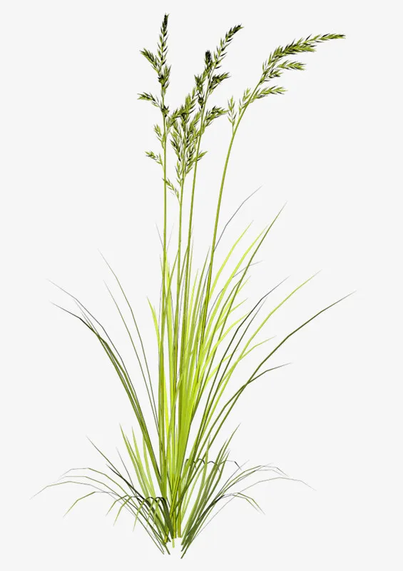 绿色手绘草丛植物装饰图案免抠