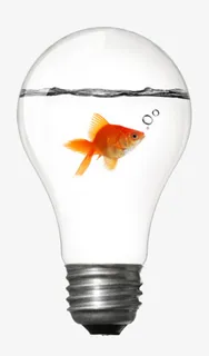 创意电器金鱼在灯泡里面游泳装饰免抠