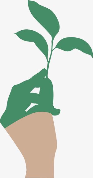 春天绿色手捏绿叶叶子免抠