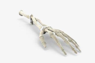 骷髅手骨头免抠