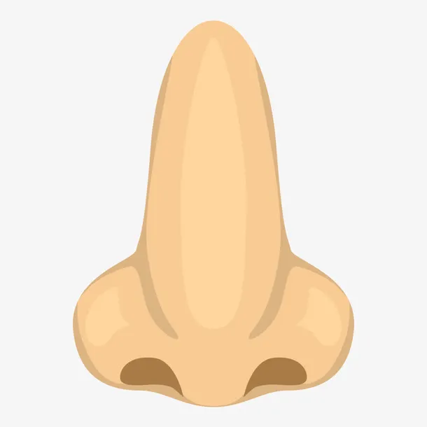 鼻子素材免抠
