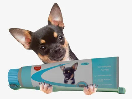 蓝色被宠物狗拿着的牙膏管实物免抠