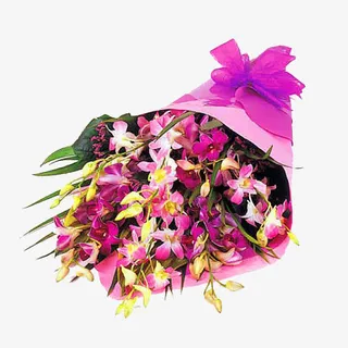 望鹤兰鲜花免抠