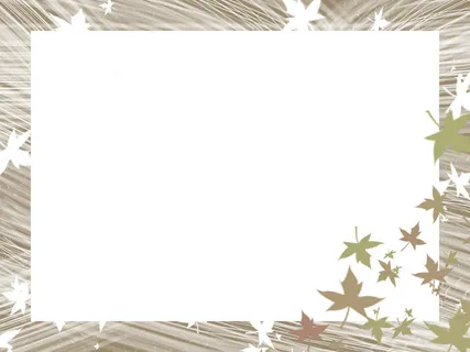 简约的枫叶边框免抠