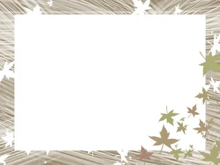 简约的枫叶边框免抠