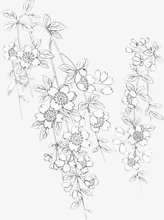 手绘茂盛的鲜花七夕情人节免抠