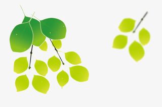 矢量绿色叶子装饰免抠