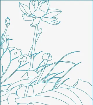 蓝色荷花线稿png免抠