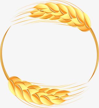 唯美麦穗边框免抠