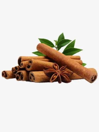 桂皮免抠