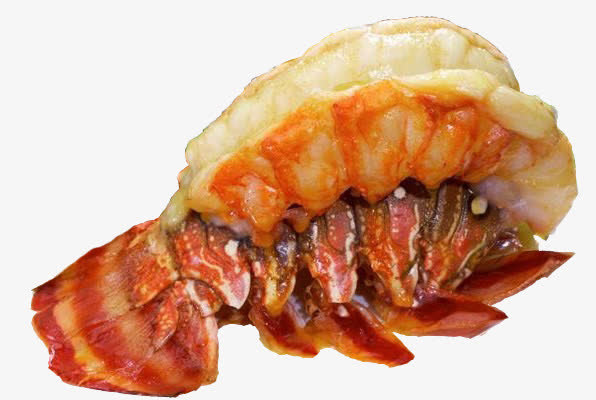 巨型龙虾免抠