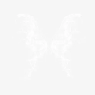 水花翅膀素材免抠