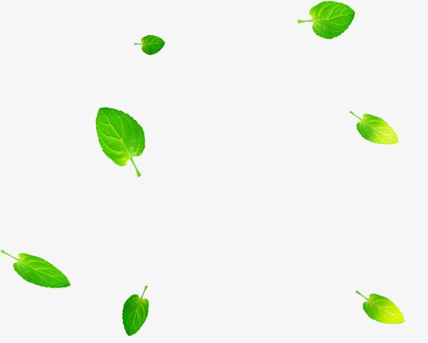 春天漂浮护肤绿叶免抠