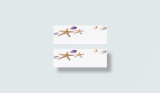 夏季沙滩海星贝壳背景素材