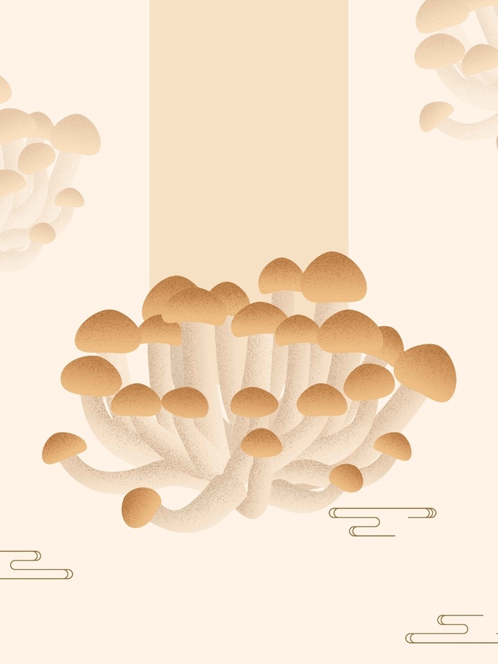 美味香菇原创美食手绘高清