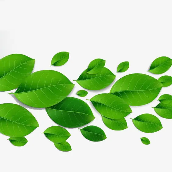 绿色叶片装饰免抠