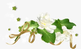白花免抠