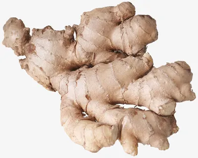 一块生姜免抠动植物植物元素