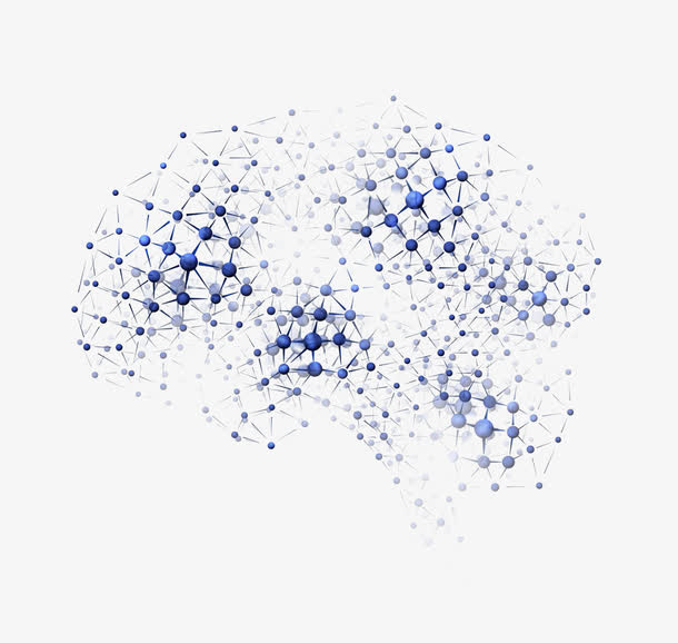 大脑形态分子构成图免抠