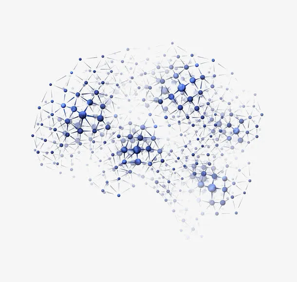 大脑形态分子构成图免抠