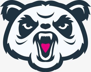 老虎头像PNG下载免抠