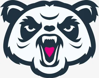 老虎头像PNG下载免抠