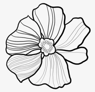 花 想象 可填色练习免抠