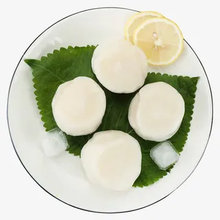 大号北海道帆立贝柱海鲜摆盘免抠免抠