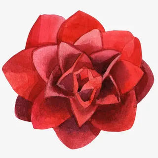 红色水彩花朵简图免抠