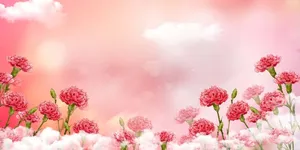 母亲节康乃馨海报广告背景高清