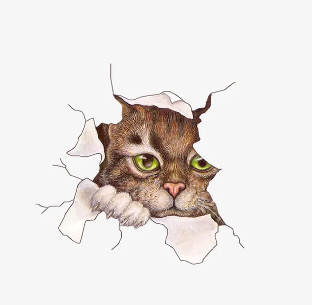 破纸与猫咪免抠