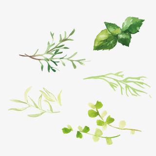 手绘绿色叶子免抠