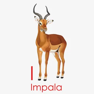 创意梅花鹿免抠