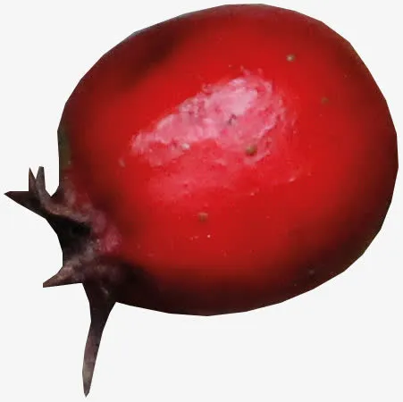 红果免抠