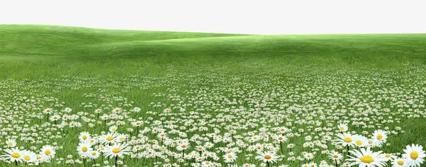 绿色草原花朵装饰边框免抠