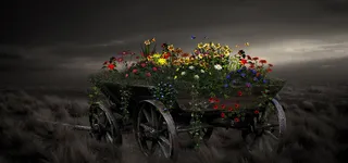 淘宝背景图高清