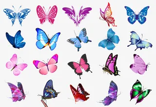 蝴蝶合集动物蝴蝶免抠