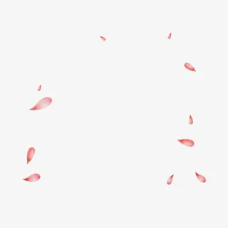 漂浮花瓣免抠