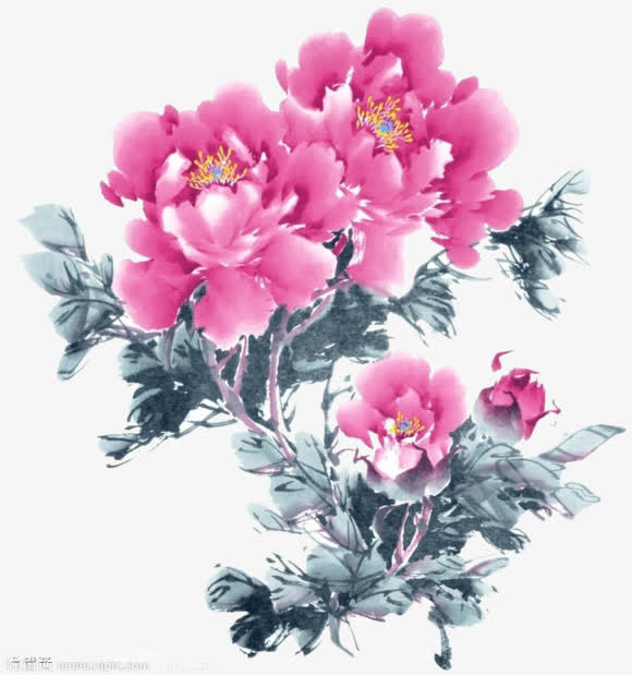 水彩水红牡丹花免抠